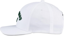 Load image into Gallery viewer, Callaway Performance Pro Men’s Cap
