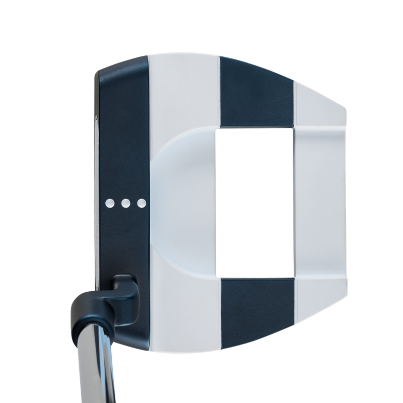 Ai-ONE Jailbird Mini CH Putter – Golf 88